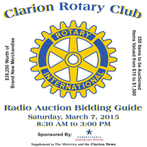 rotary auction bidding guide