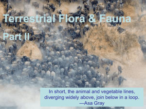 terrestrial flora & fauna pt2