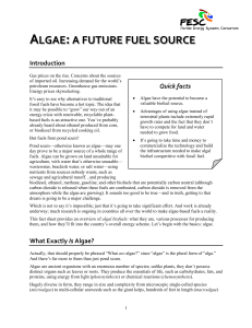 algae:a future fuel source - Florida Energy Systems Consortium