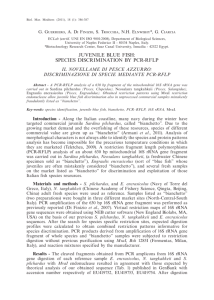 juvenile blue fish: species discrimination by pcr-rflp