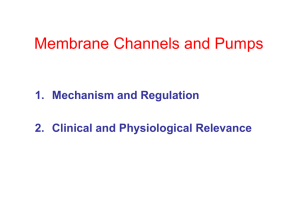 Membrane Channels and Pumps