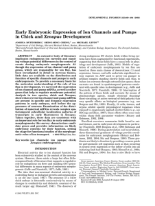 Early Embryonic Expression of Ion Channels and Pumps