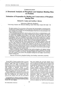 A Structural Analysis of Phosphate and Sulphate