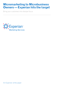 Micromarketing to Microbusiness Owners — Experian hits the target