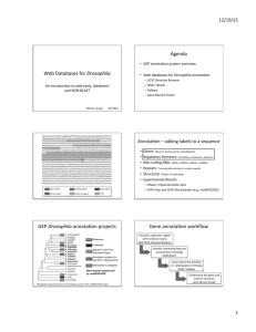 Web Databases for Drosophila Agenda GEP Drosophila annota&on