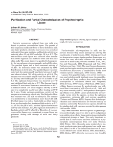 Purification and Partial Characterization of Psychrotrophic Serratia