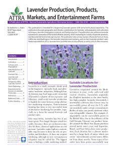 Lavender Production, Products, Markets, and Entertainment Farms