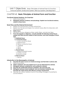 CHAPTER 40: Basic Principles of Animal Form and Function