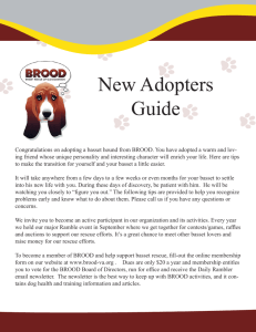 New Adopters Guide