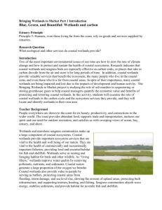 Wetlands and carbon - Waquoit Bay National Estuarine Research