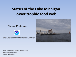 Status of the Lake Michigan lower trophic food web