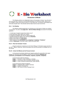 Introduction to Mitosis Worksheet