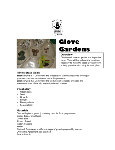 Glove Gardens