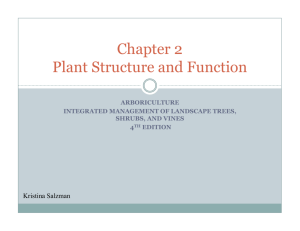 Chapter 2 Plant Structure and Function