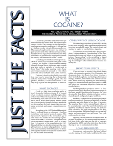 What is Cocaine? - Florida Alcohol and Drug Abuse Association