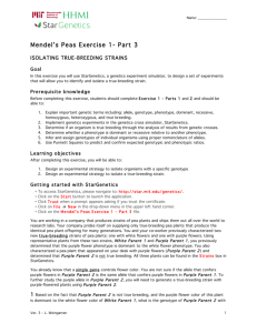 Mendel's Peas Exercise 1- Part 3
