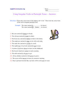Using Irregular Verbs in Participle Tense – Answers