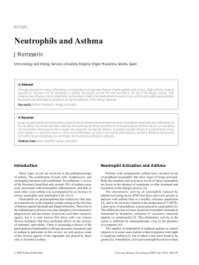 Neutrophils and Asthma - Journal of Investigational Allergology and