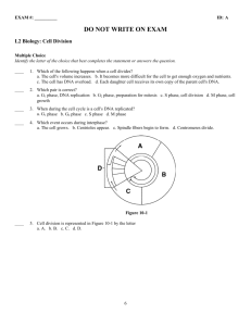 ExamView Pro - l2 - Cell Division Exam.tst