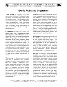 Exotic Fruits and Vegetables