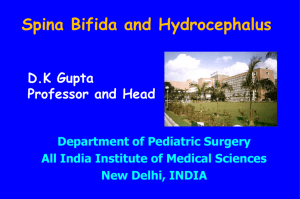 Spina Bifida and Hydrocephalus