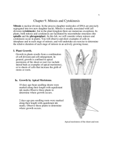 "pdf" copy of Topic 9: Mitosis & Cytokinesis