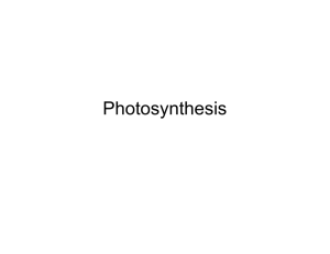 Photosynthesis - Defiance City Schools