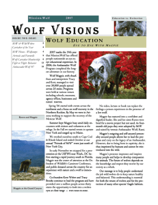Wolf Vision 2007