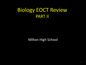 Biology EOCT Practice Questions Part 2