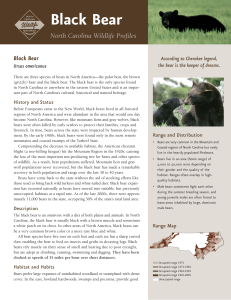 Black Bear - North Carolina Wildlife Resources Commission