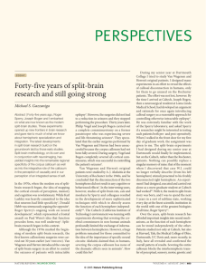 Forty-five years of split-brain research and still going strong