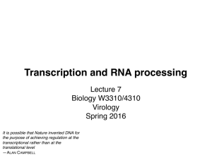 Transcription and RNA processing