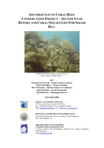 southern leyte coral reef conservation project