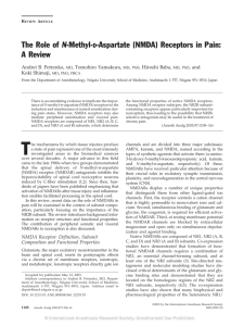 The Role of N-Methyl-D-Aspartate (NMDA) Receptors in Pain: A