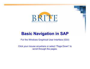Basic Navigation in SAP