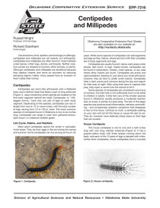 Centipedes and Millipedes - OSU Fact Sheets