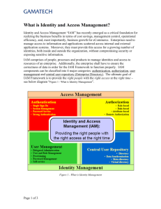 What is Identity and Access Management?