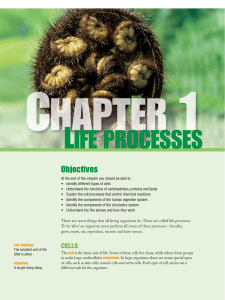 Chapter 1: Life Processes