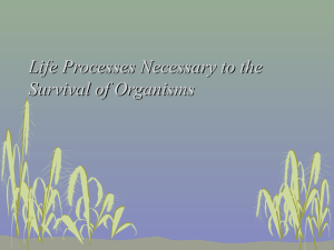 Life Processes Necessary to the Survival of Organisms