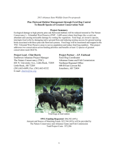Pine Flatwood Habitat Management through Feral Hog Control To