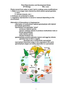 Plant Reproduction and Development Notes AP Biology Mrs. Laux 1
