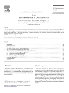 Sex determination in Chlamydomonas