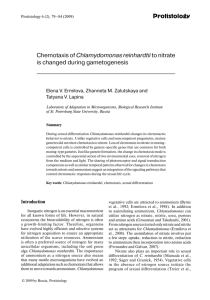 Protistology Сhemotaxis of Chlamydomonas reinhardtiito nitrate is
