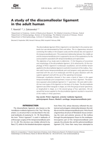 A study of the discomalleolar ligament in the adult human