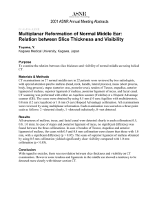 Multiplanar Reformation of Normal Middle Ear - Member