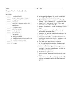 Chapter 6 Section 1 and 2 Review Questions