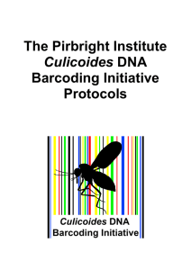 The Pirbright Institute Culicoides DNA Barcoding Initiative Protocols