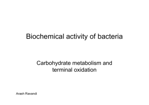 Biochemical activity of bacteria