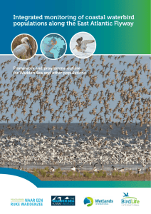 Integrated monitoring of coastal waterbird populations along the