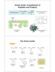Amino Acids: Constituents of Peptides and Proteins The Amino Acids